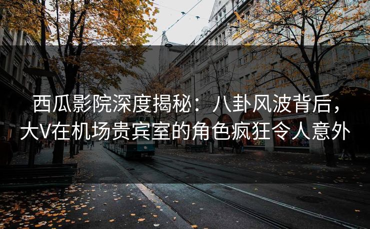 西瓜影院深度揭秘:八卦风波背后,大V在机场贵宾室的角色疯狂令人意外 西瓜影院深度揭秘:八卦风波背后,大V在机场贵宾室的角色疯狂令人意外